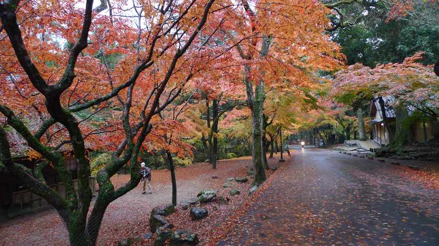 1557817331546560.jpg 336065_1417945243776_mthumb.jpg